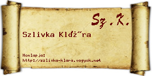 Szlivka Klára névjegykártya